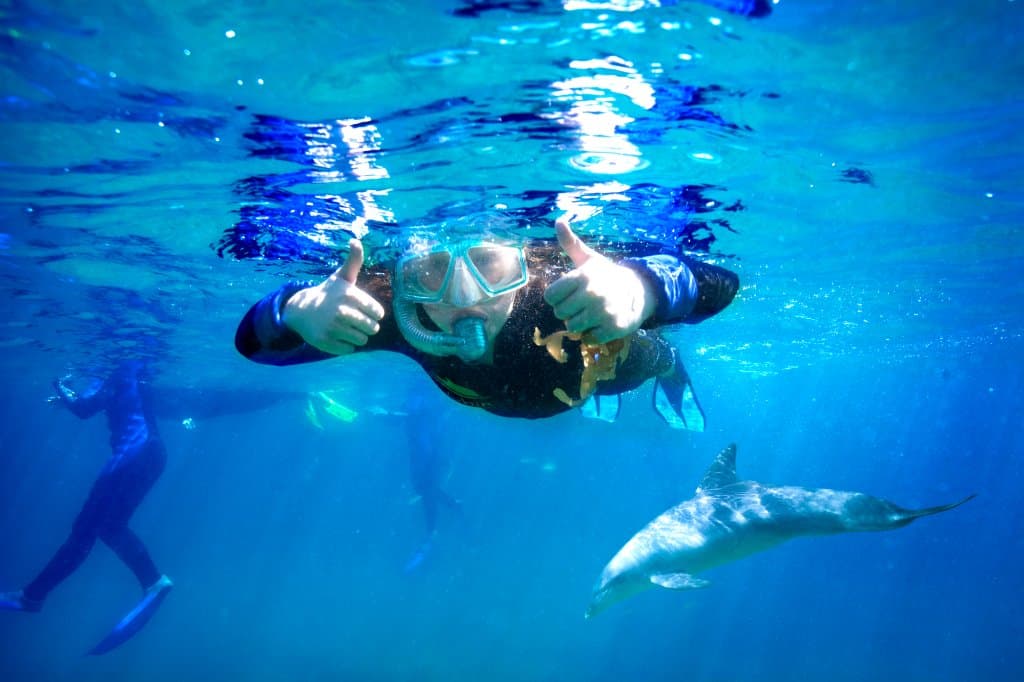 Swim on the wild side tour