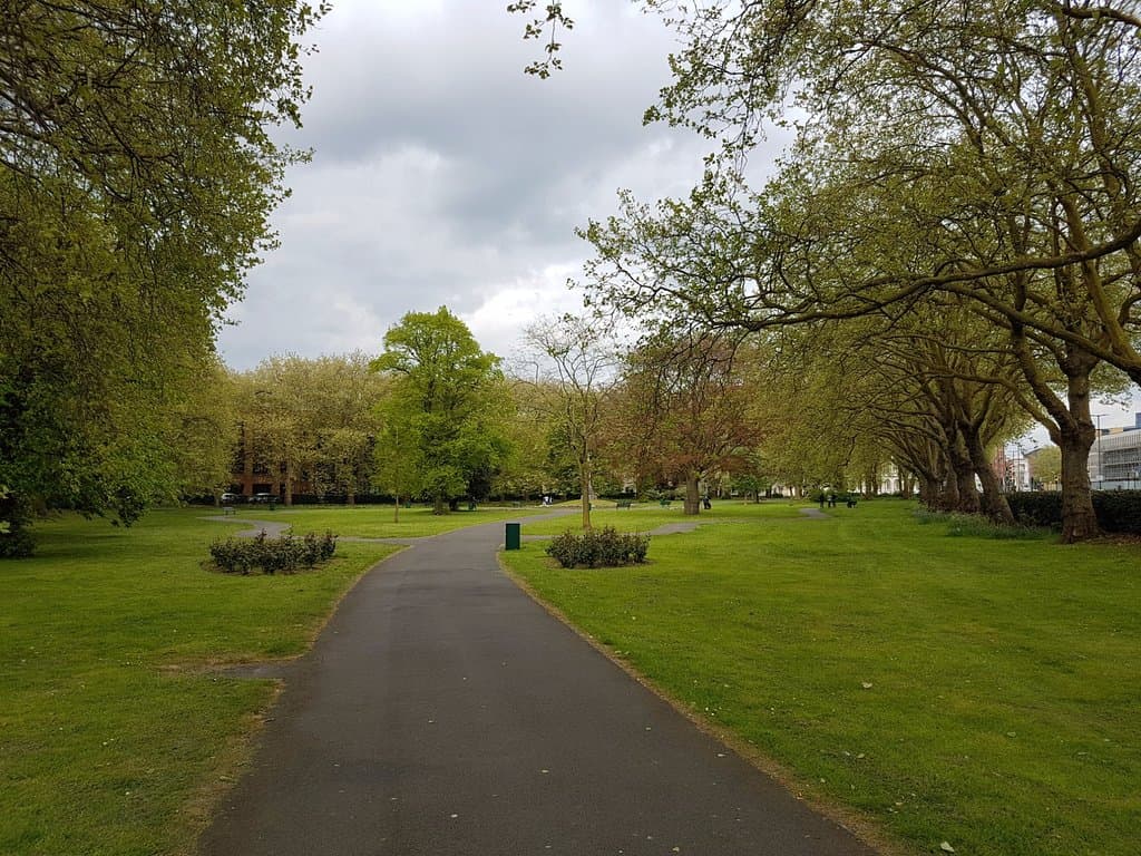 Almost entire park