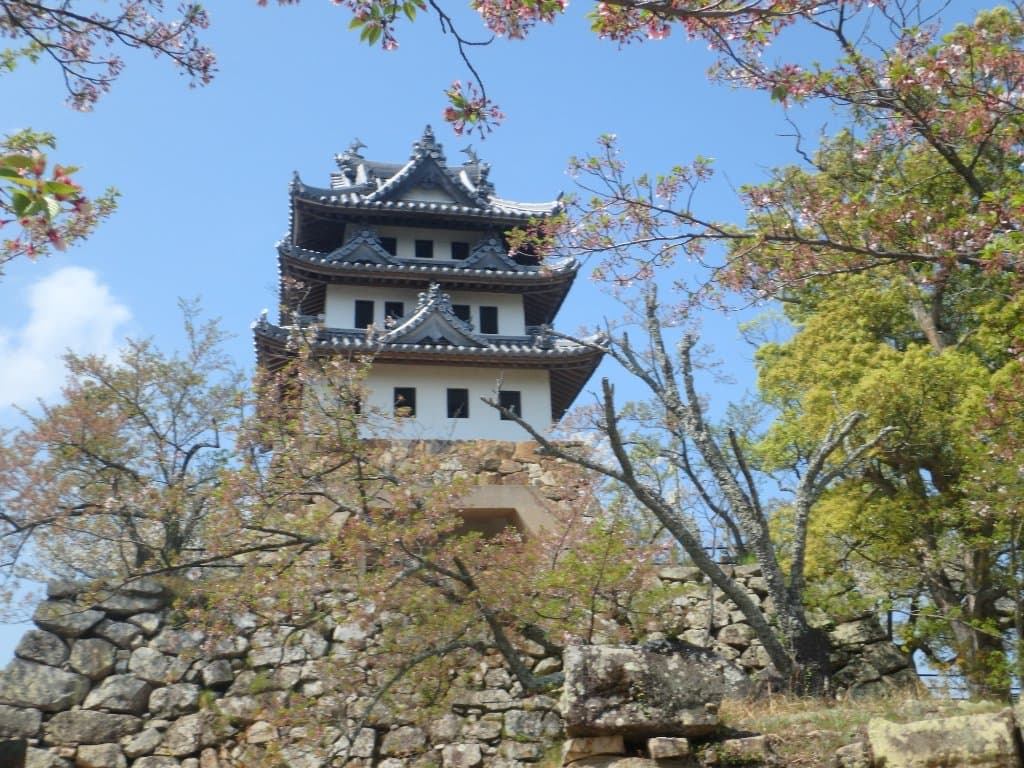 桜とお城