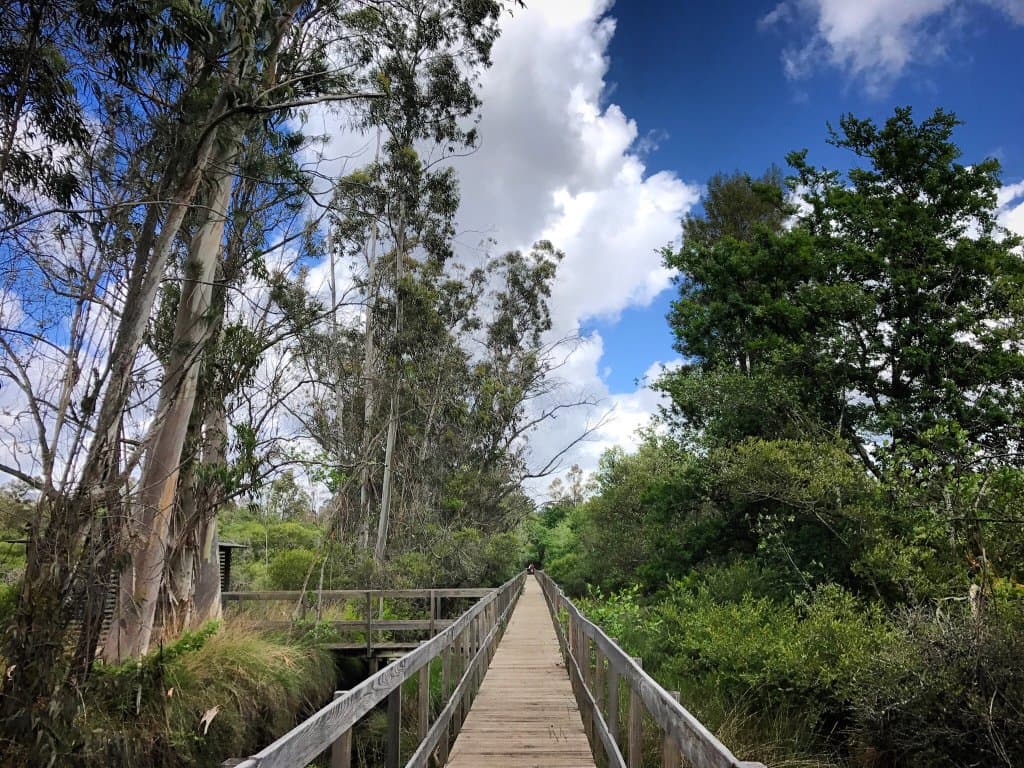 Lagoas de Bertiandos e São Pedro d'Arcos