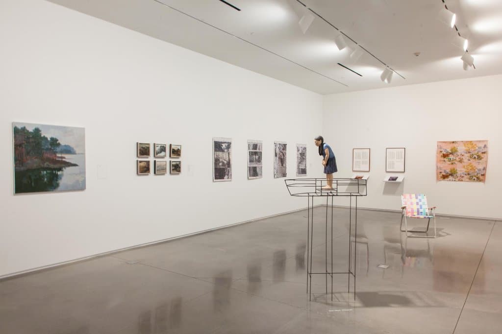 2016 CMCA Biennial, Winter 2016-17, Guy D. Hughes Gallery