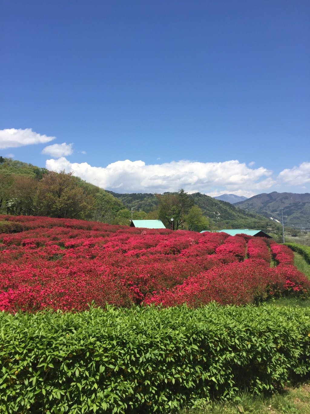 Chausuyama Park Japan