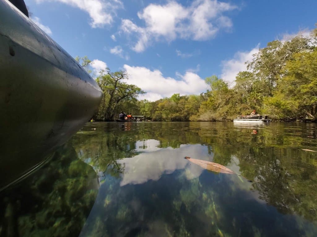 Nature at its finest