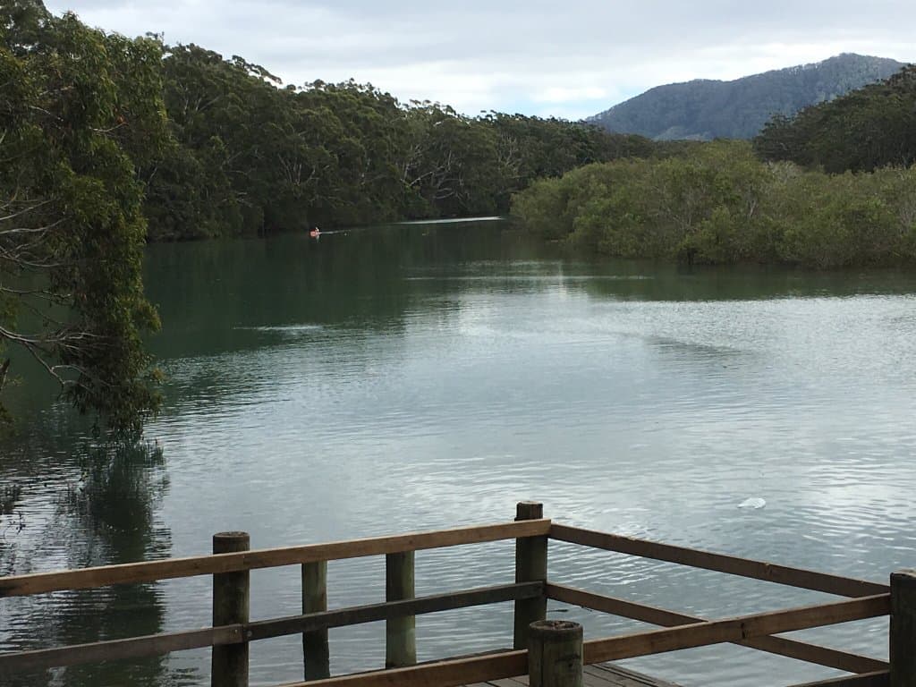 Sights along the Coffs Creek Walk