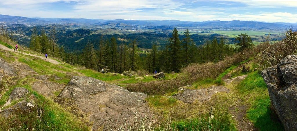 Spencer Butte Trail Eugene
