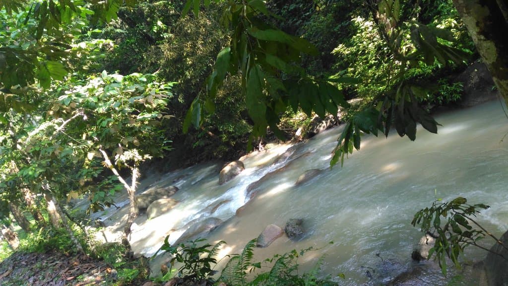 Ampang Receational Forest