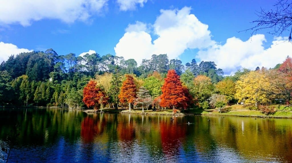 McLaren Falls Park New Zealand