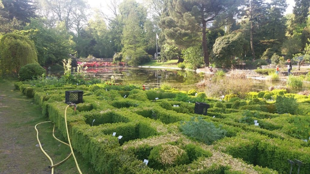 Tuin