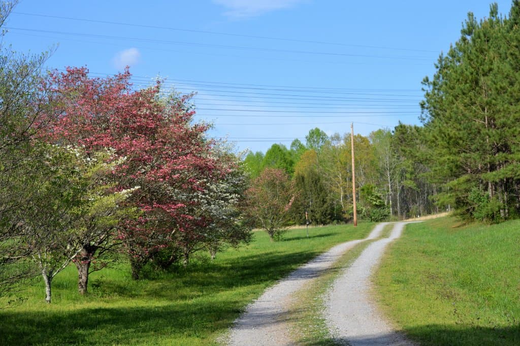 Arboretum Dr.