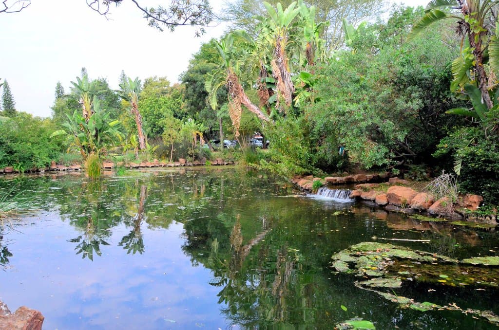 Pond