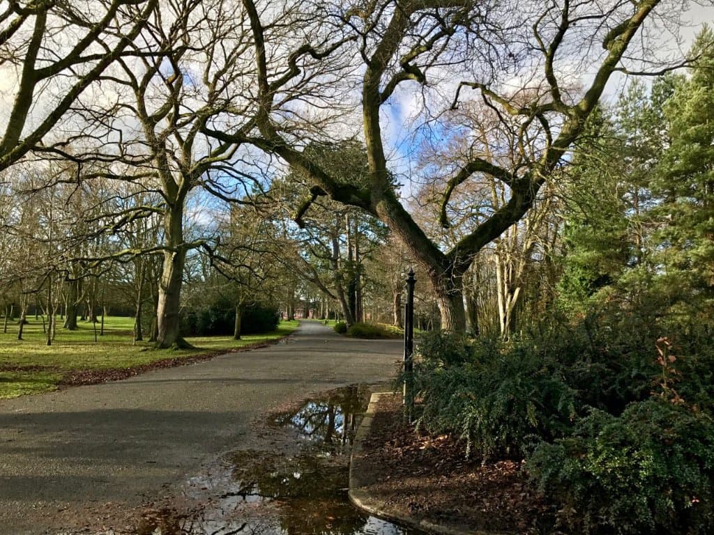 Park