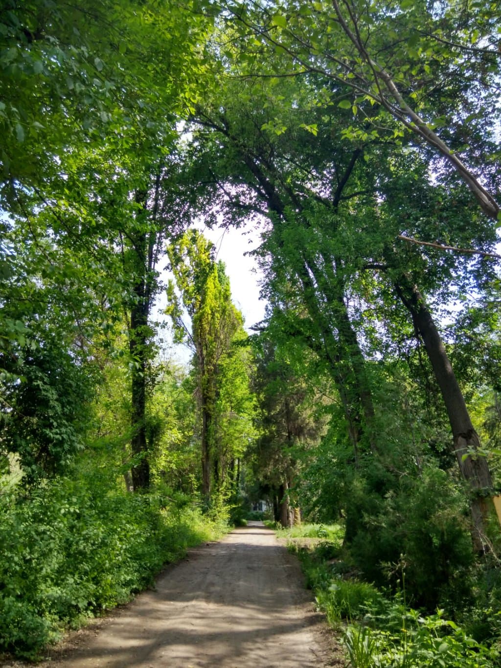 Botanical Garden in Toshkent