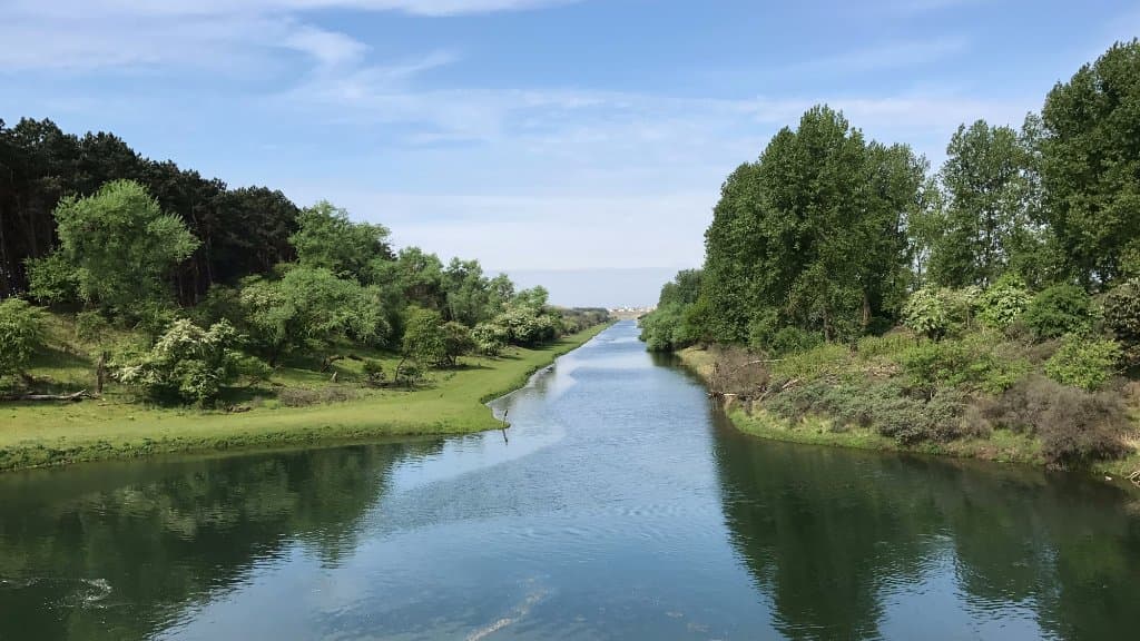 Amsterdamse Waterleidingduinen - Natuur