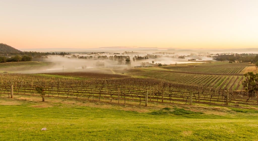 Audrey Wilkinson winery 13