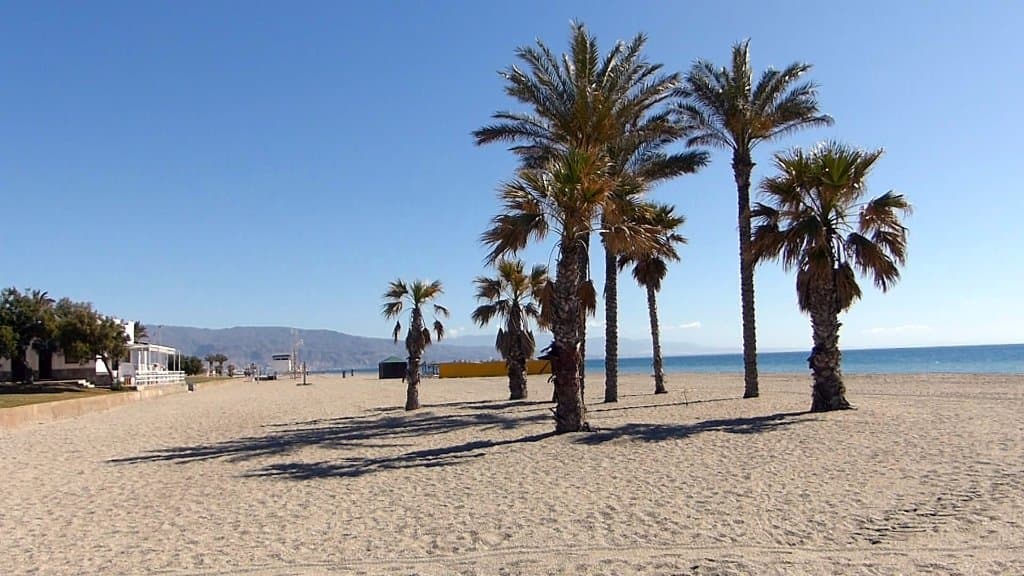 Beach View