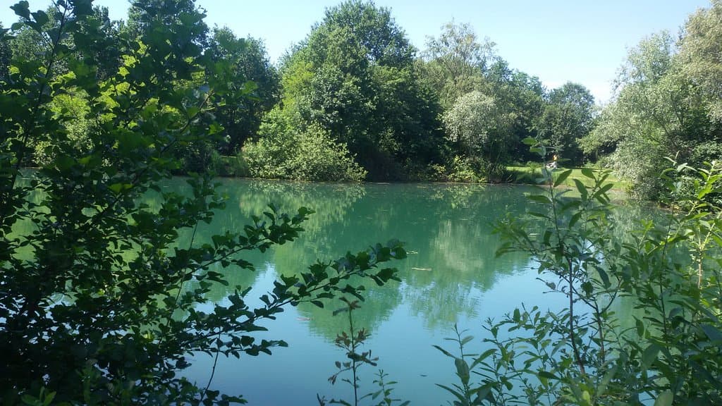 Visit the Bosco in Città