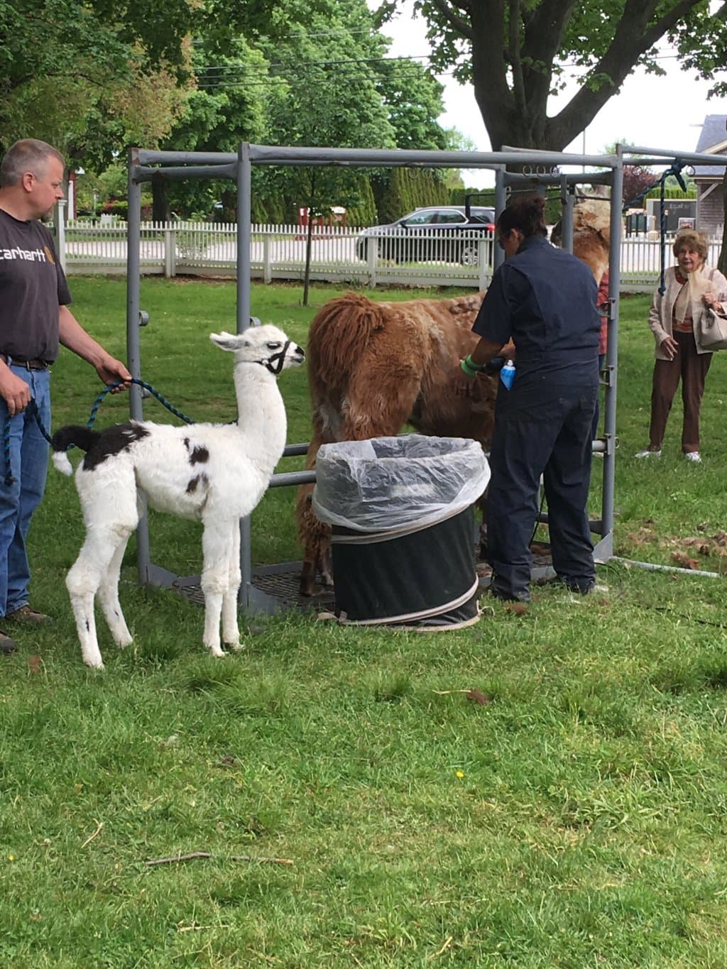Hallockville Museum Farm