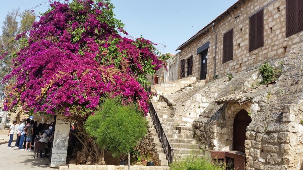Namık Kemal Zindanı ve Müzesi