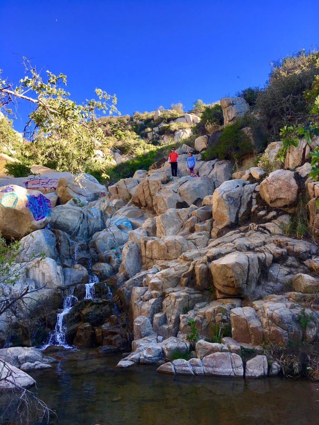 Ortega Highway Scenic Drive California