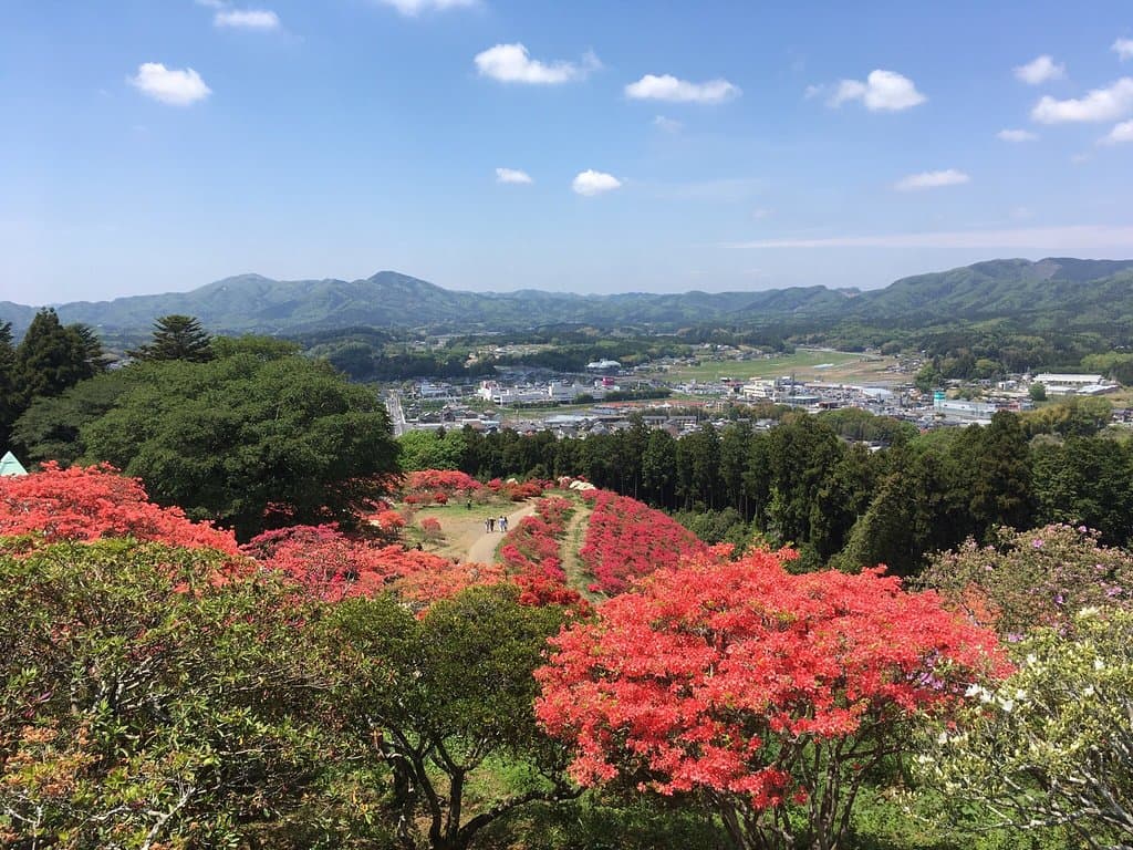 Kasama Tsutsuji Park