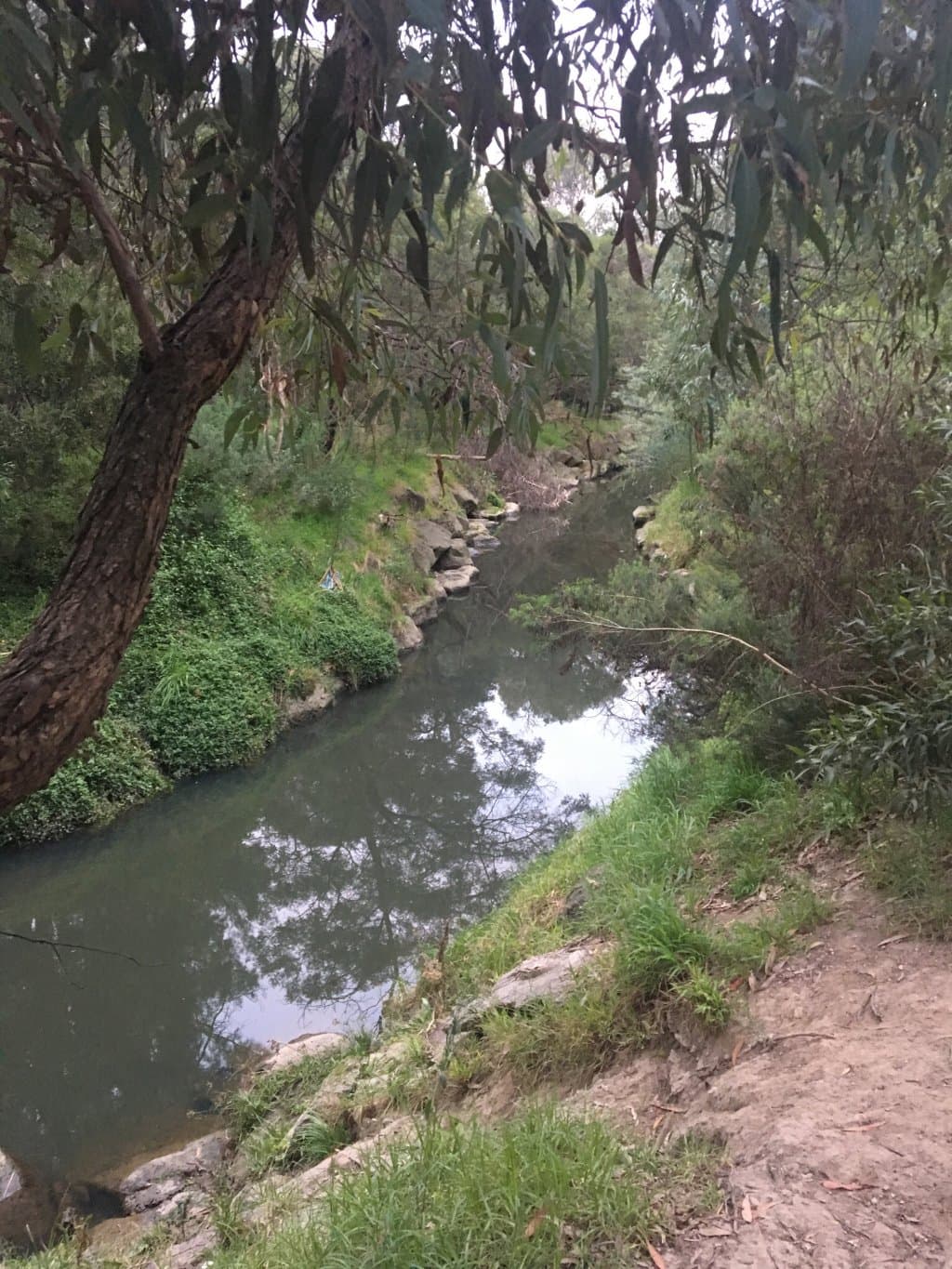 Gardiner Creek Reserve