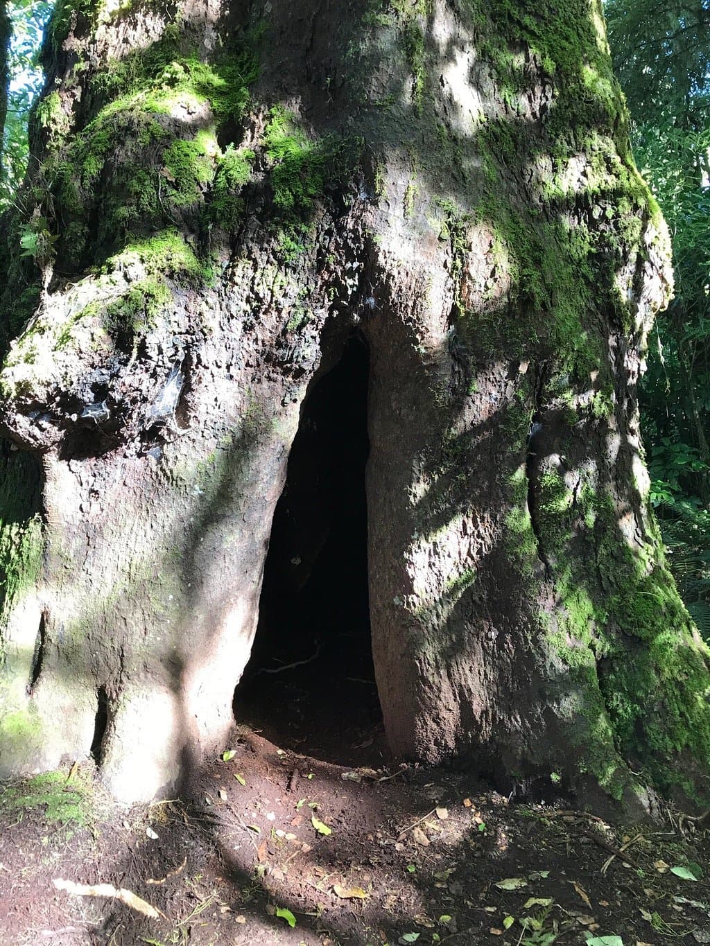 Opepe Scenic and Historic Reserve