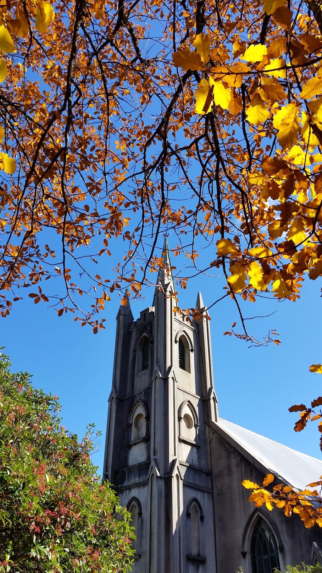 Beechworth, along the street