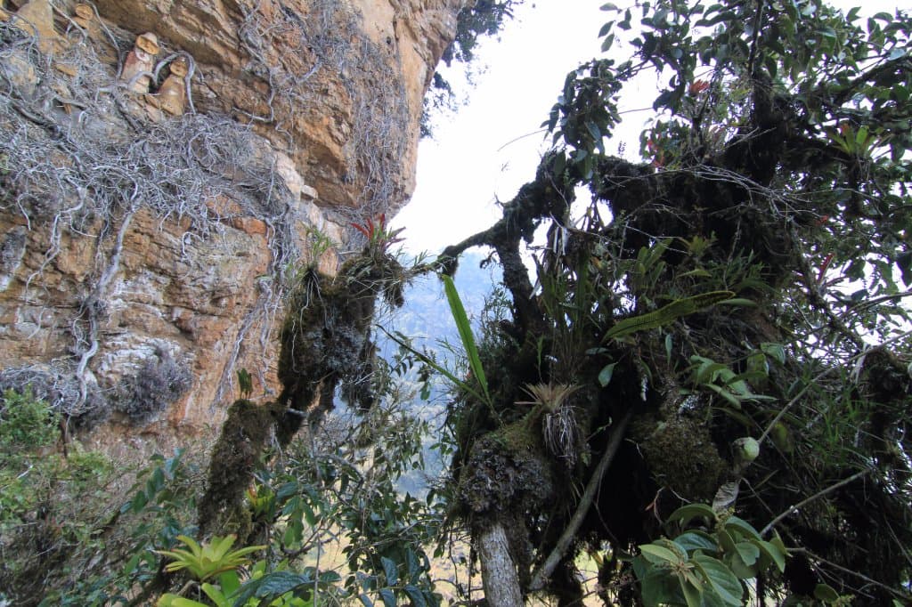 sarcofagos y vistas del cortado