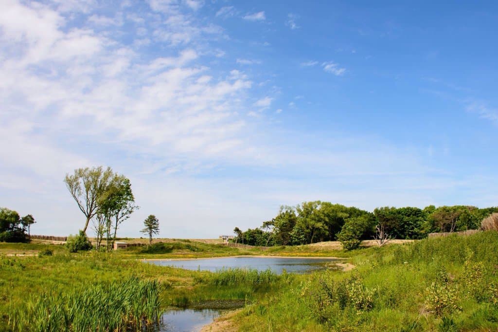 Zwin Nature Park Bruges