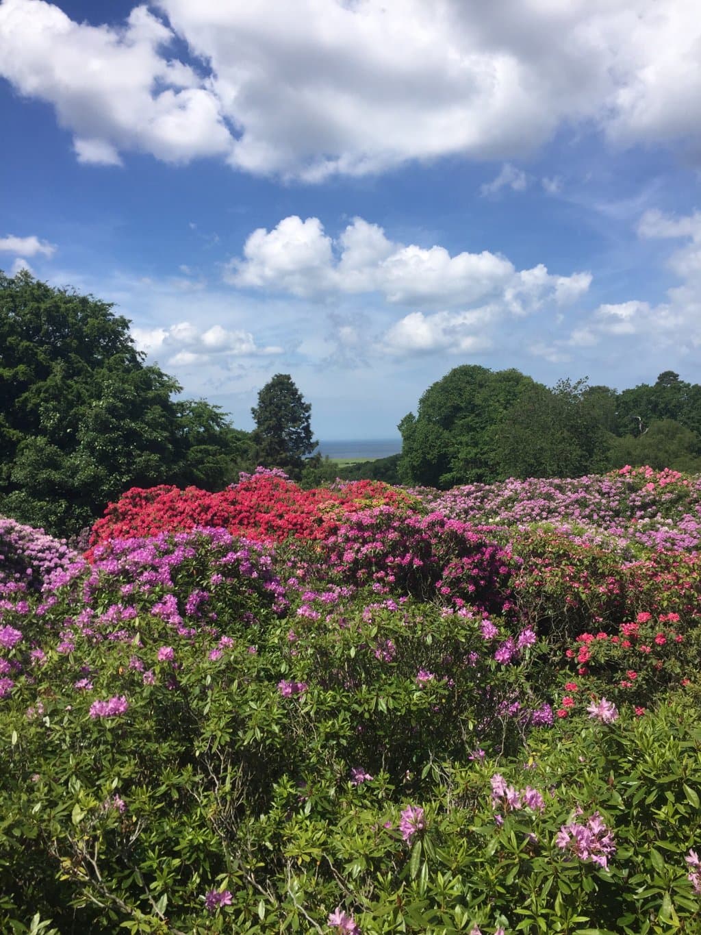 Sheringham Park Norfolk
