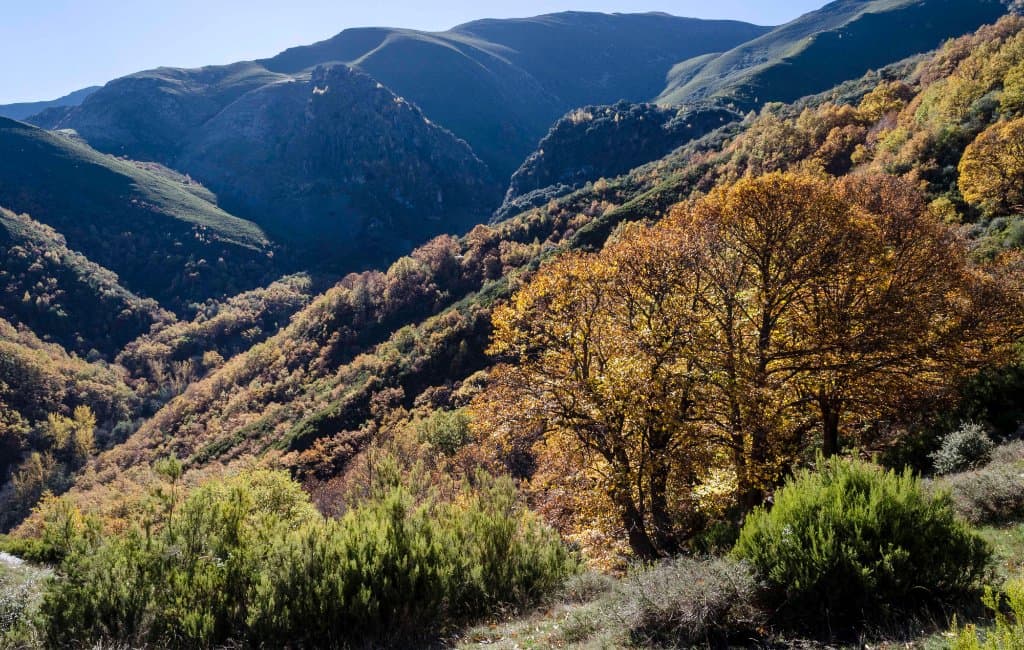 Valle del Silecio desde Montes de Valdueza