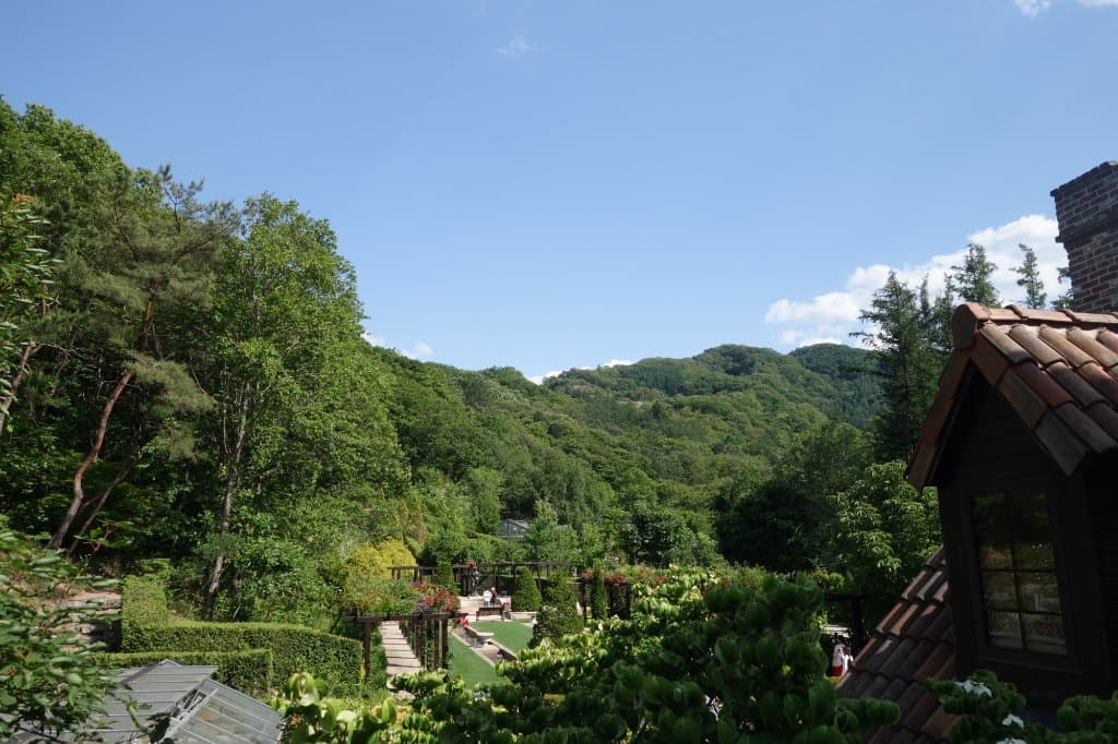 식당 2층에서 본 모습
