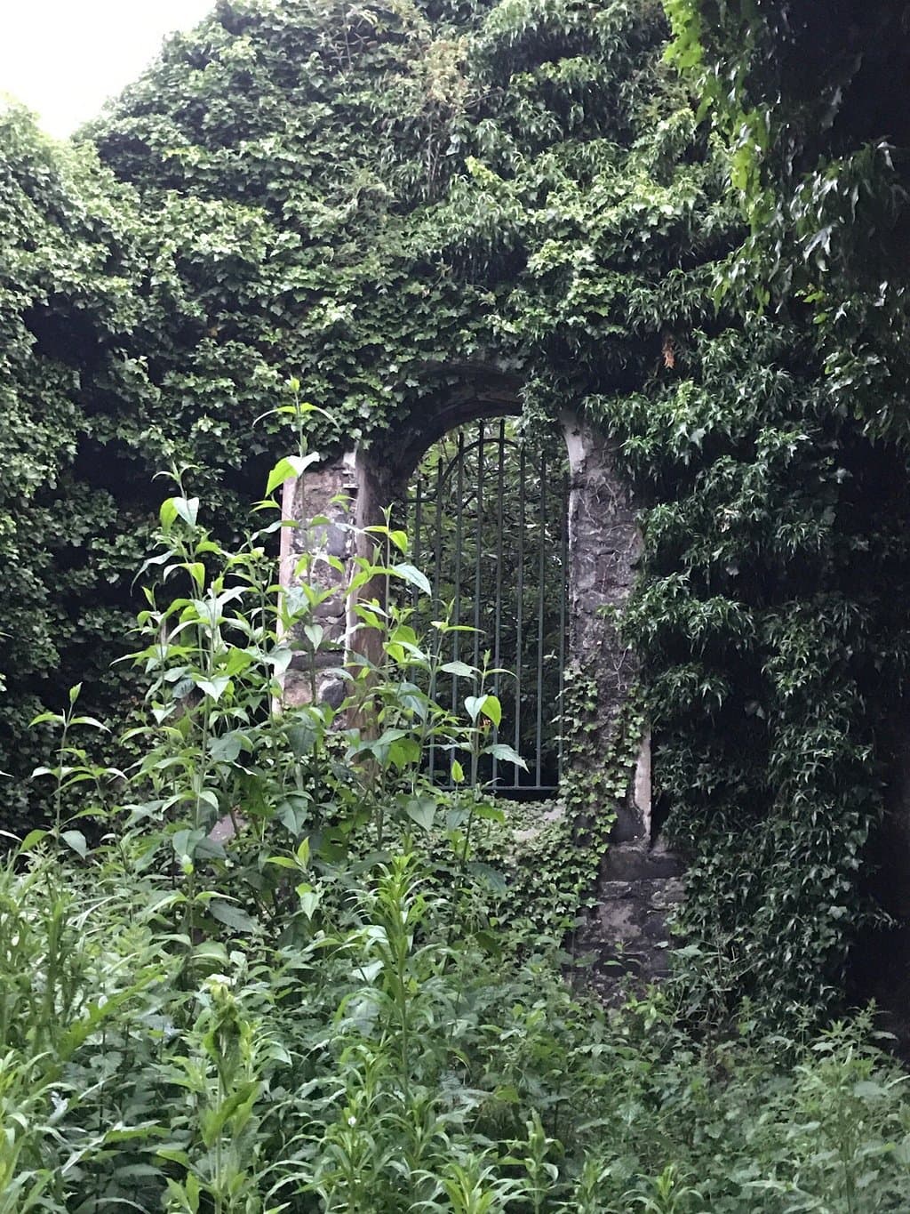 Explore St. Kevin's Park