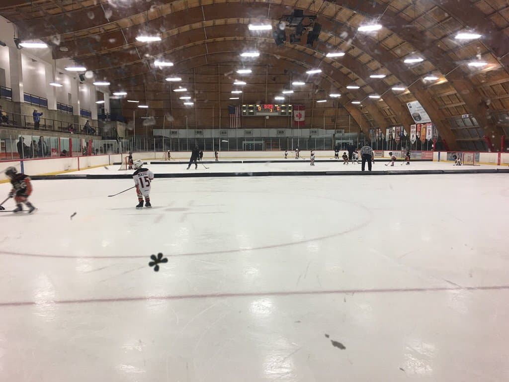 The Rinks - Anaheim ICE