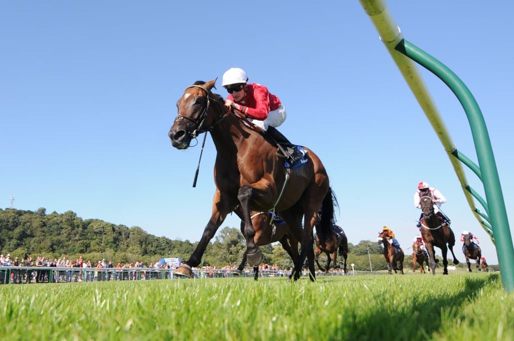 Beautiful track with clear blue sky 
