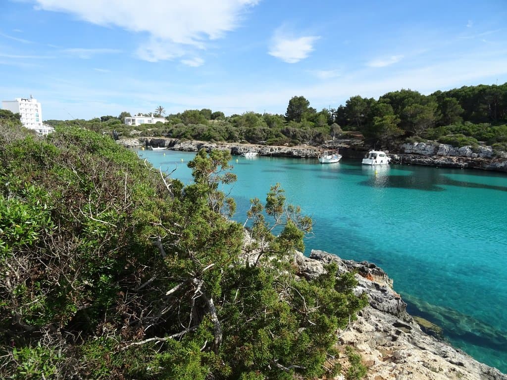 PLATJA CALA SANTANDRIA 