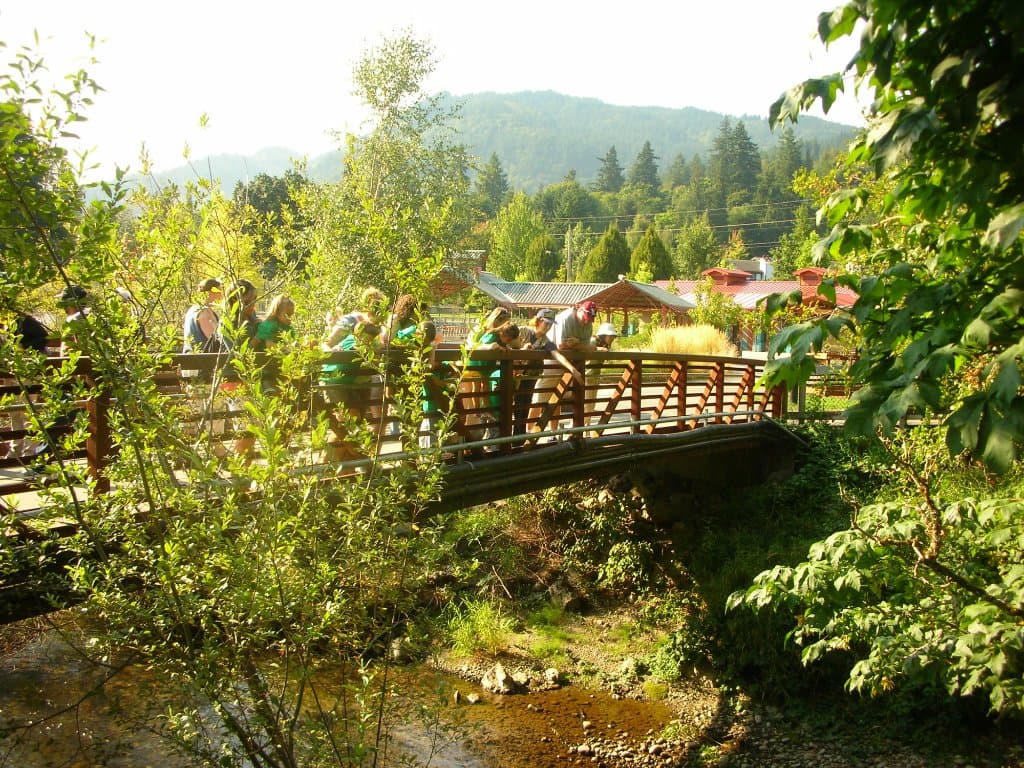 Schools, summer camps, and tourists visit the hatchery year-round.