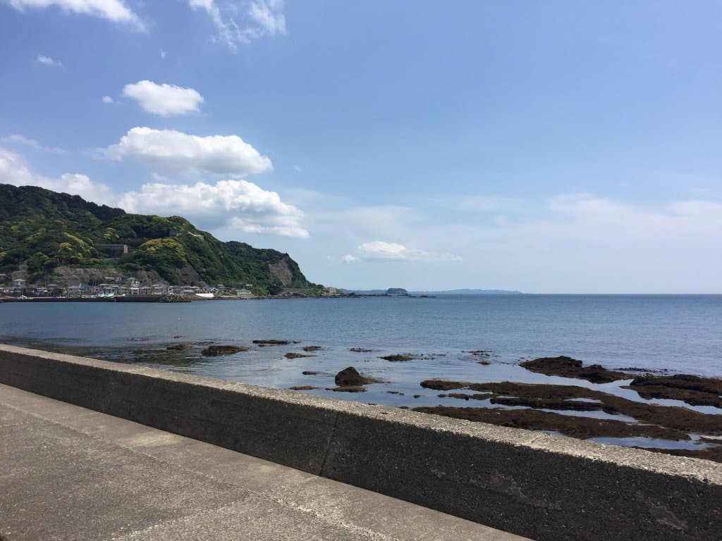 The Fish Kanaya Seafood Market