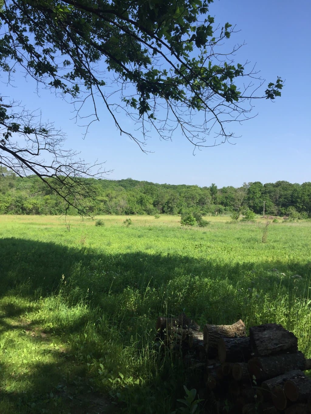 Come and enjoy the four miles of trails at Kishwauketoe Nature Conservancy. Open everyday. No fe