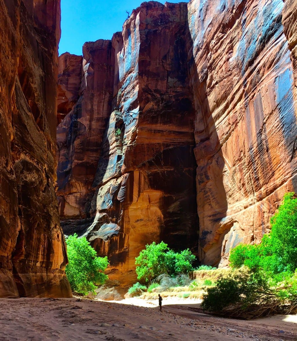 Wire Pass Trailhead Utah