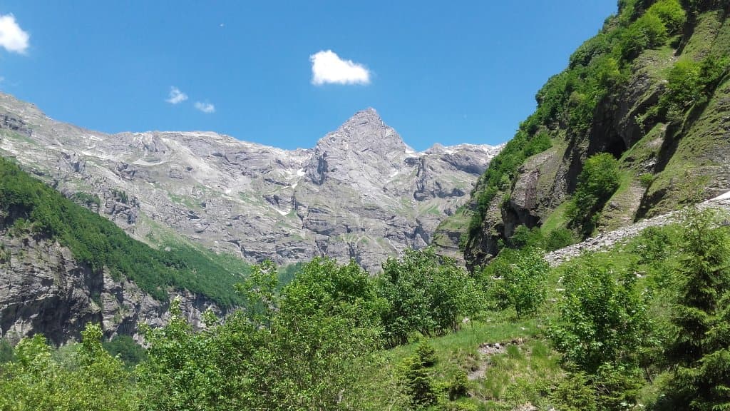 Savigny-en-Véron Nature Reserve