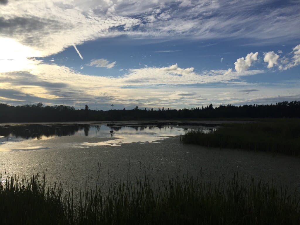 Buttertubs Marsh Conservation Area
