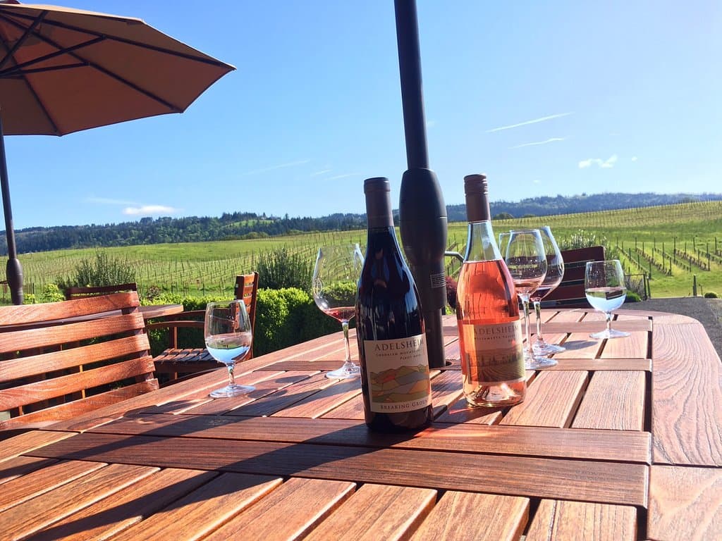 Beautiful view of Calkins Lane Vineyard