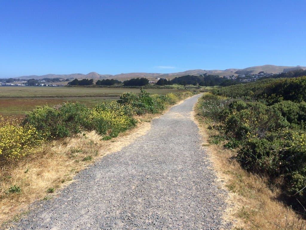 Marsh trail