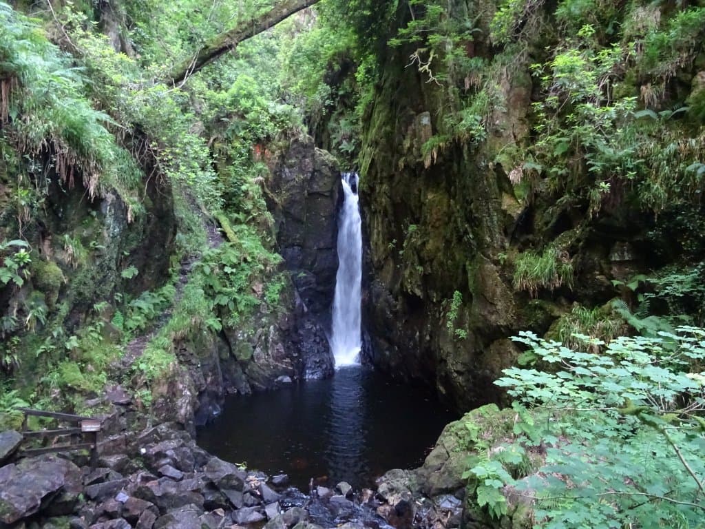 Scaleber Force