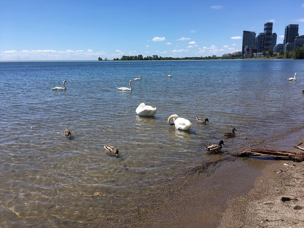 The place you wanted to be