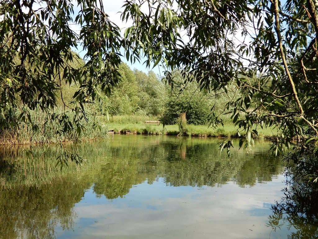Caldy Valley Nature Park.