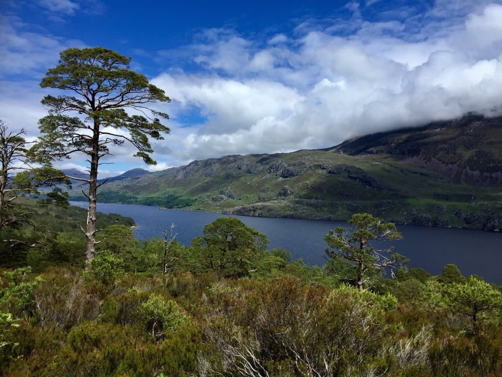 Beinn Eighe Visitor Centre