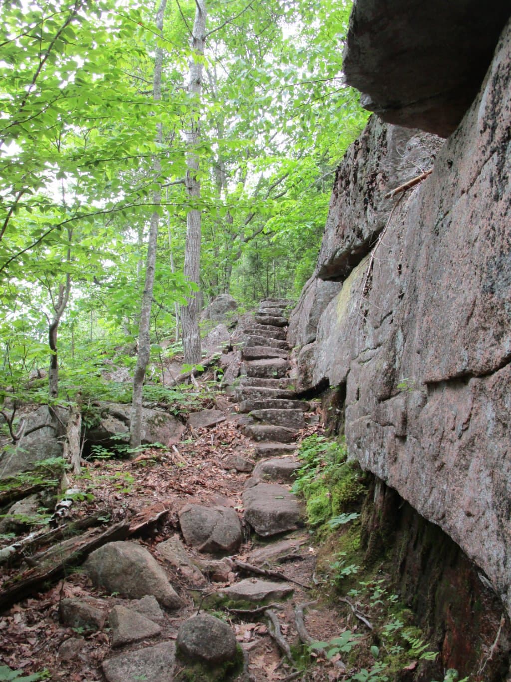 Some of the many steps