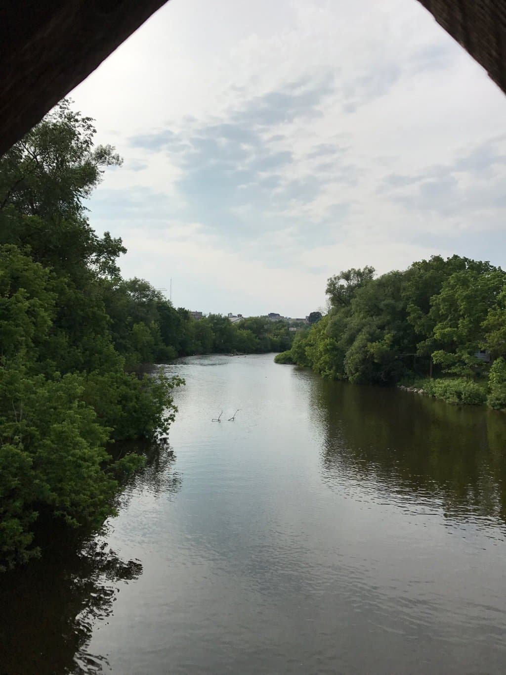 Very nice walking paths near downtown Guelph beside Eramosa River covered Bridge then leads to S